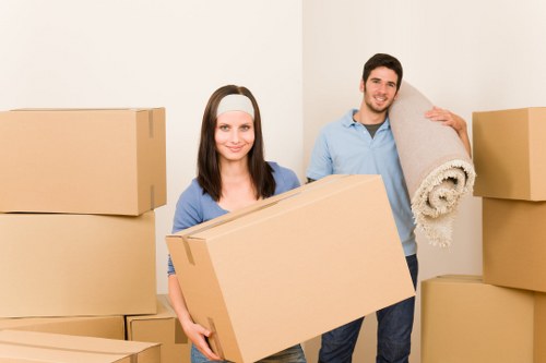 Local removal truck suitable for Clapham moves and nearby areas